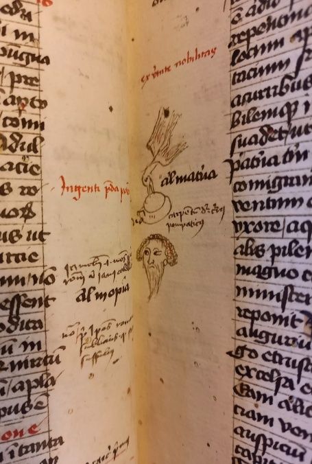 Medieval manuscript page with handwritten marginal notes and small sketches